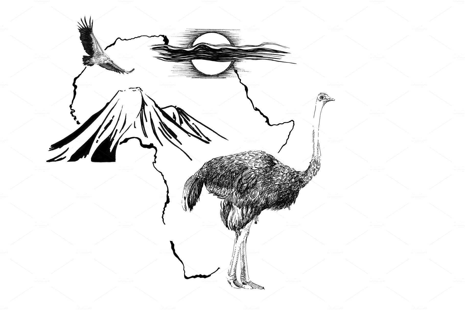 Ostrich on Africa map background wit cover image.