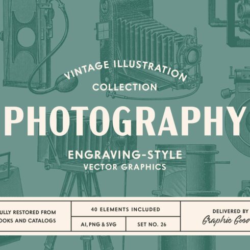 Photography - Vintage Illustrations cover image.