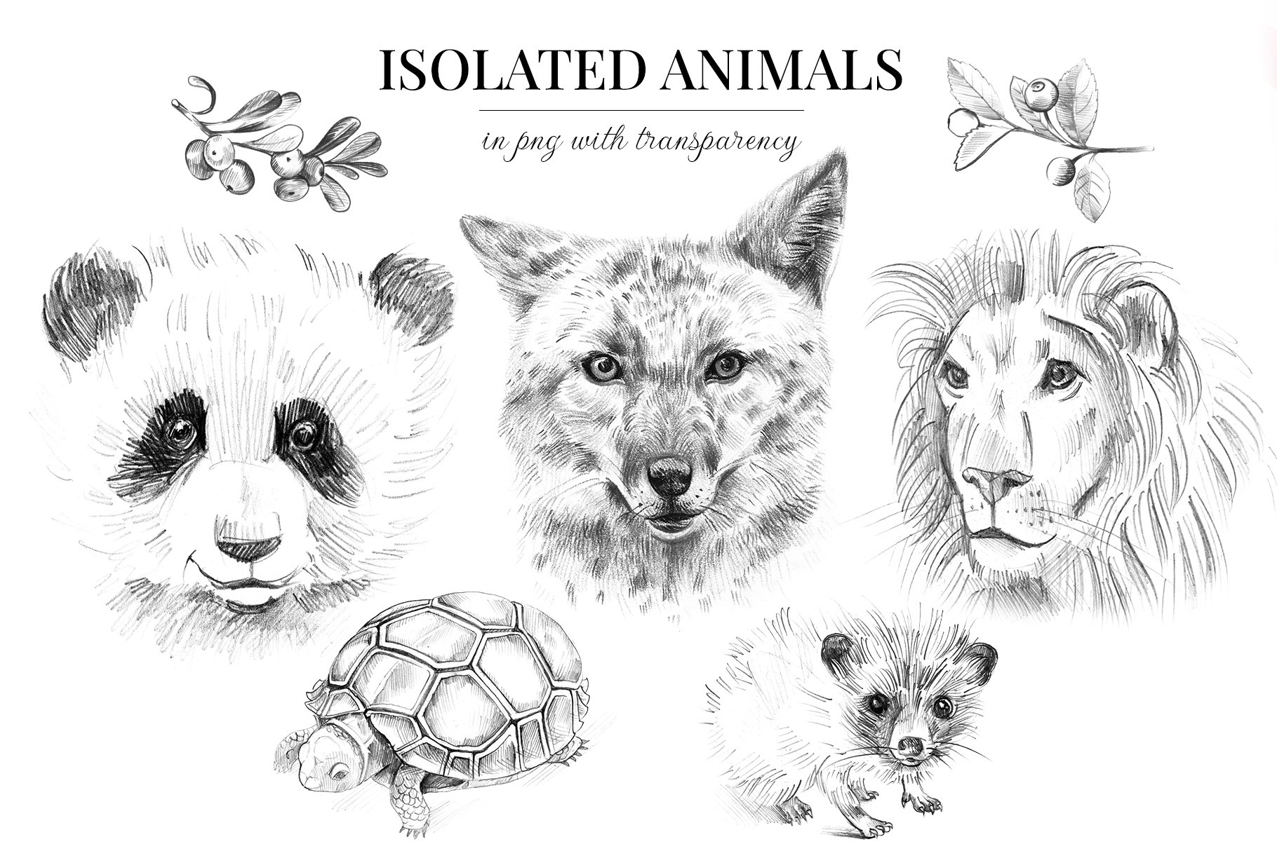 Wild animals. Sketch edition. 22 PNG preview image.