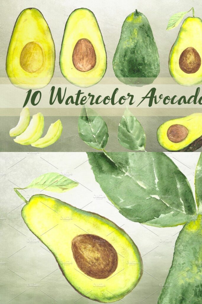 10 Watercolor Avocado Clip Art Set – MasterBundles