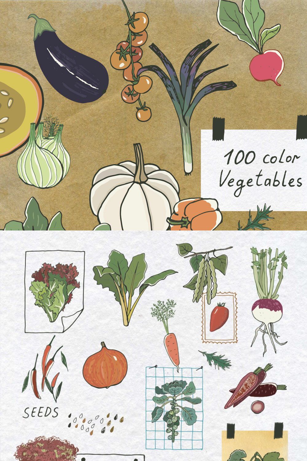 100 Color Vegetables pinterest preview image.