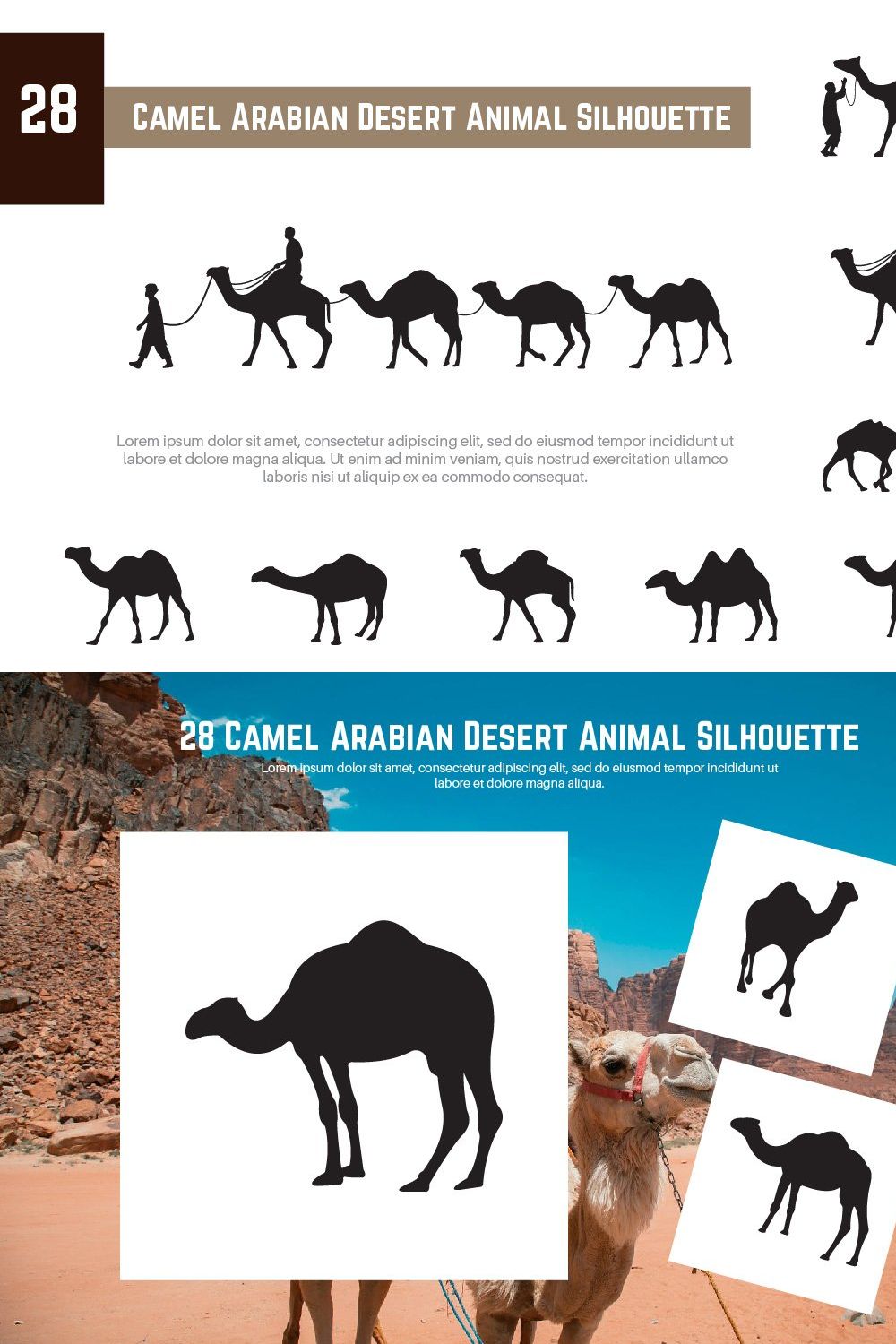 28 Camel Arabian Desert Animal pinterest preview image.