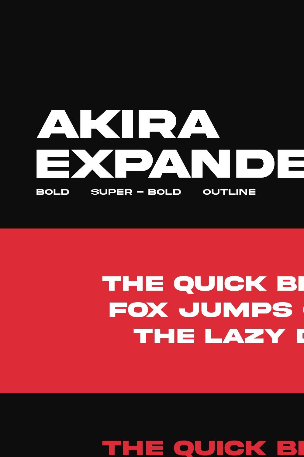 Akira Expanded pinterest preview image.
