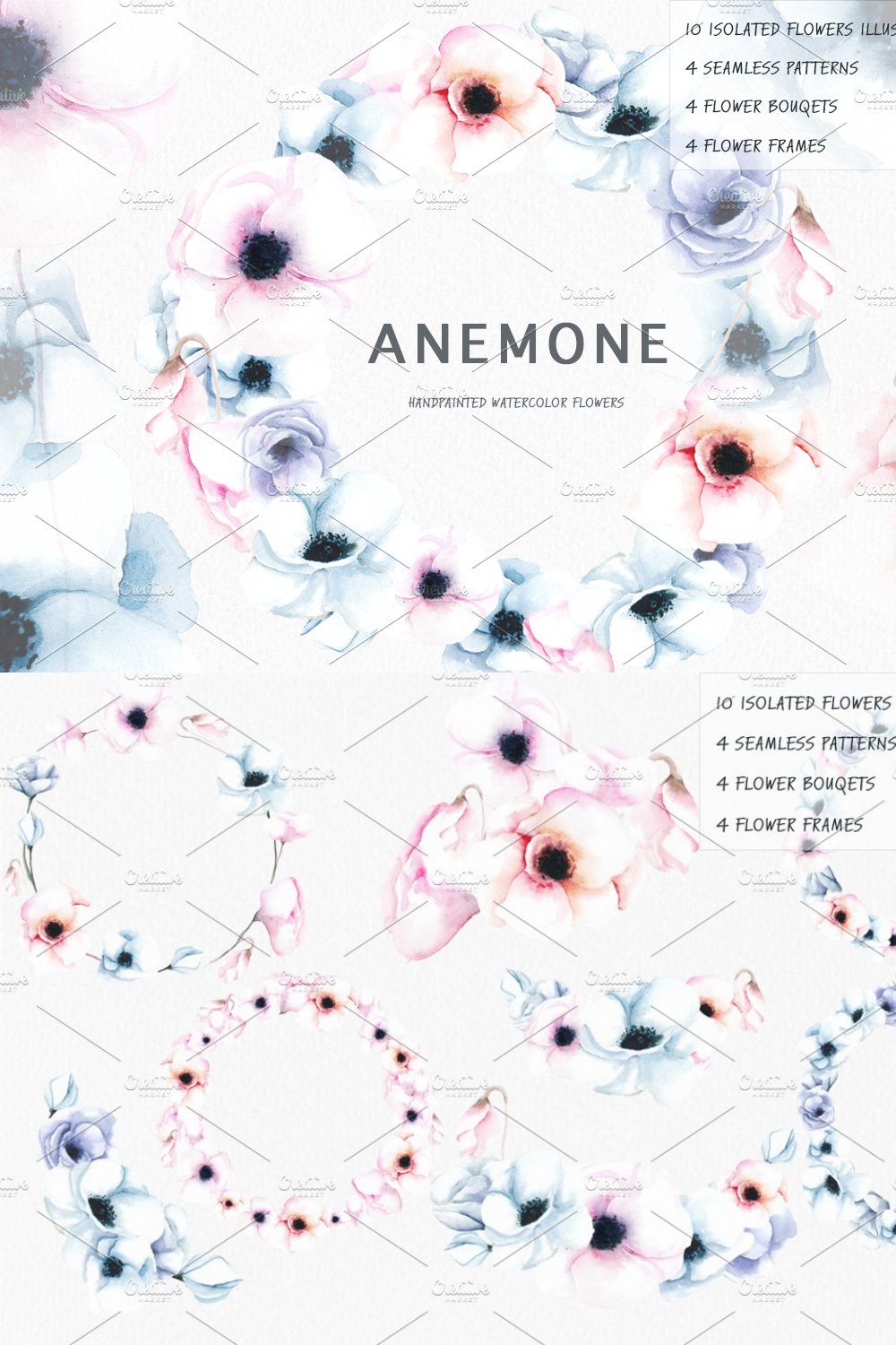 Anemone. Watercolor illustration. pinterest preview image.