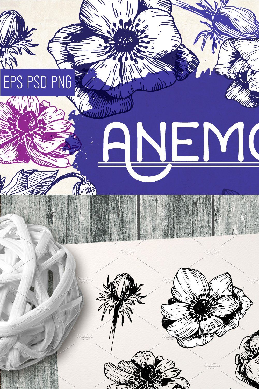 Anemones. Ink flower set pinterest preview image.