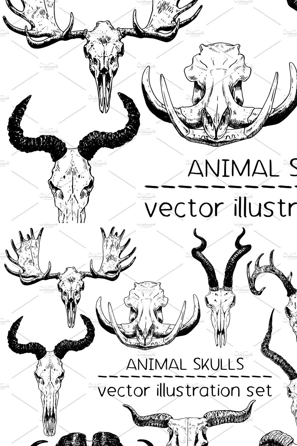 Animal skulls - vector illustrations pinterest preview image.