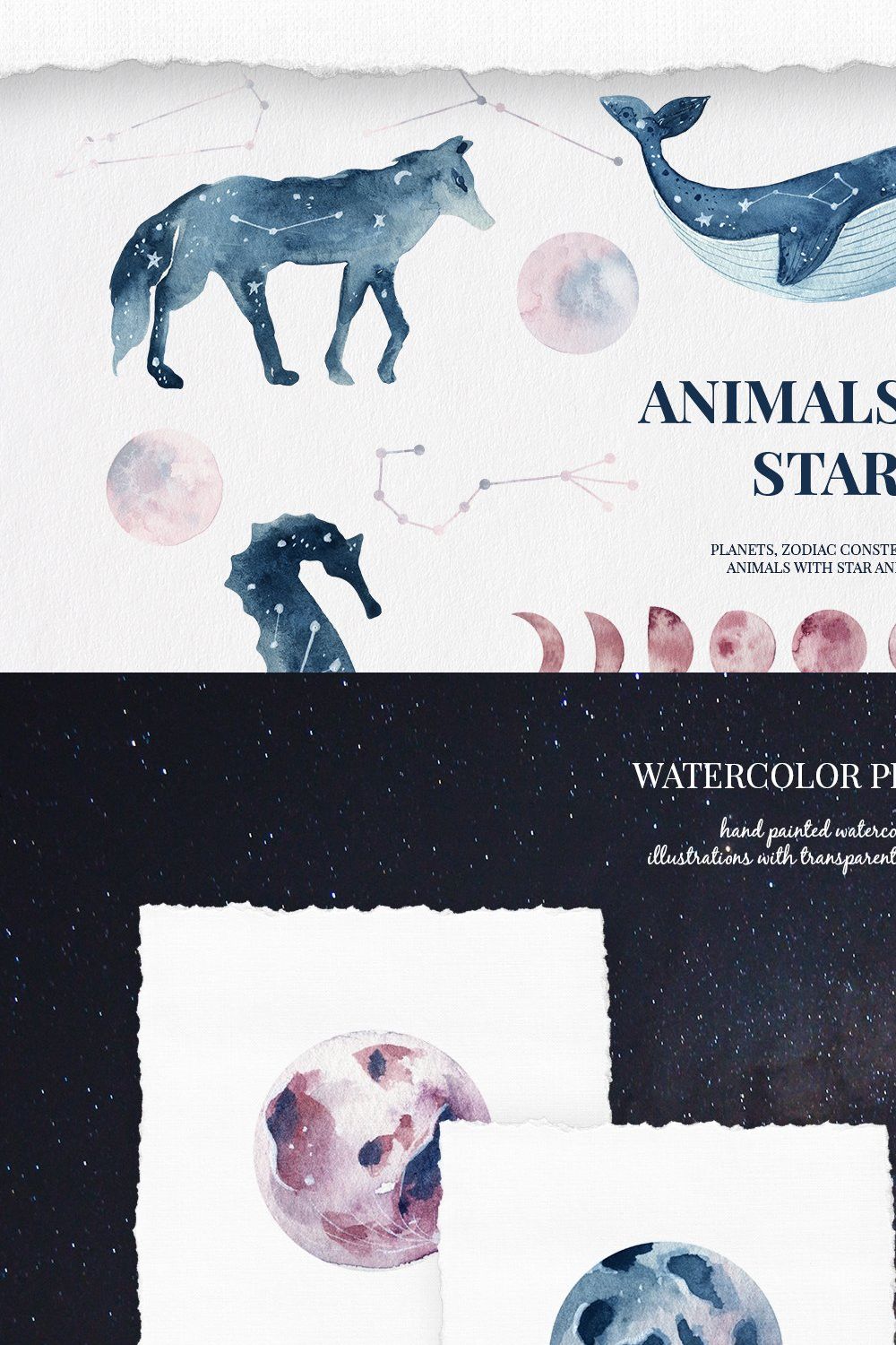 Animals and stars collection pinterest preview image.