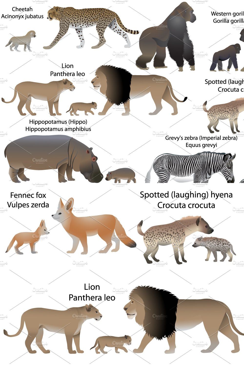 Animals of Africa with cubs pinterest preview image.