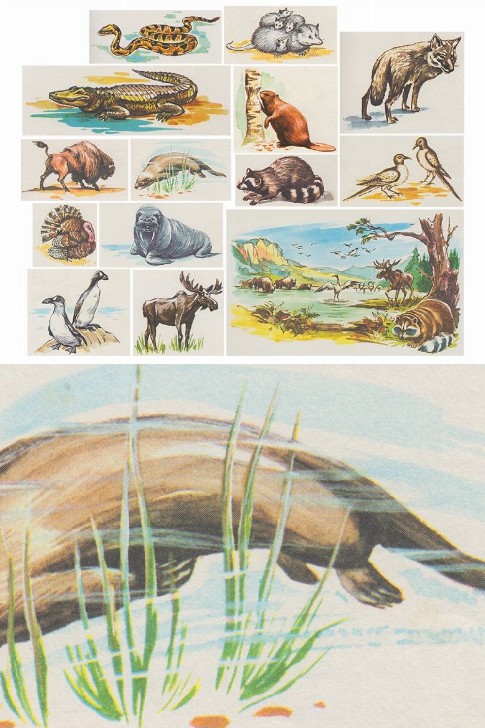 Animals Retro Illustrations Clipart pinterest preview image.