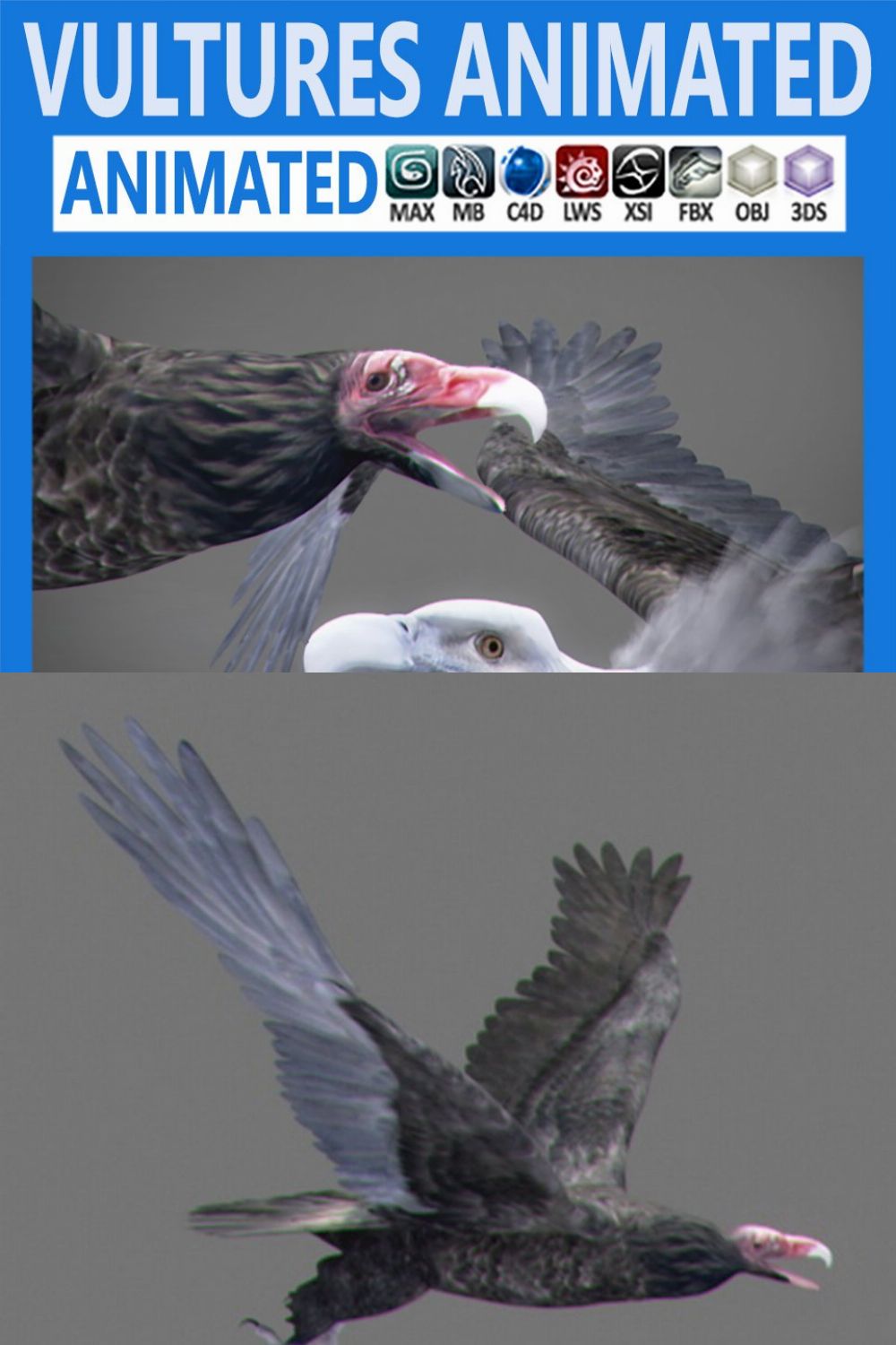 Animated Vultures pinterest preview image.