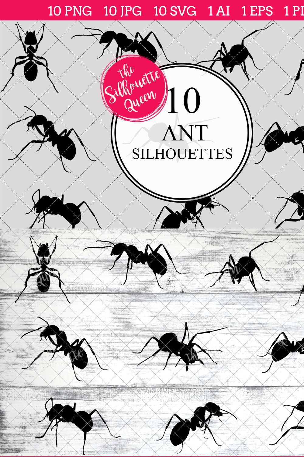 Ant Silhouette Vector Graphics pinterest preview image.