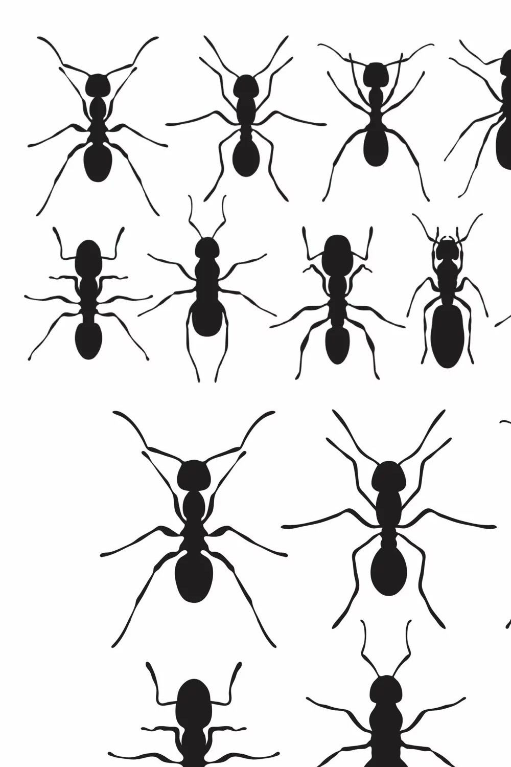 Ant svg cut file, ants silhouette pinterest preview image.