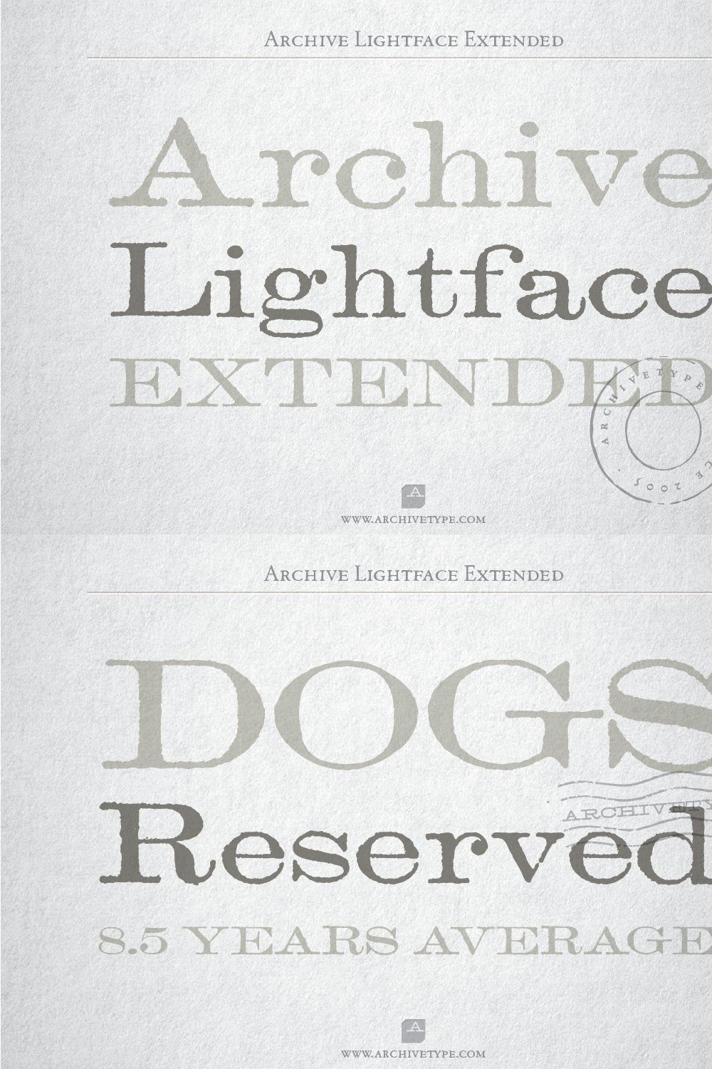 Archive Lightface Extended pinterest preview image.