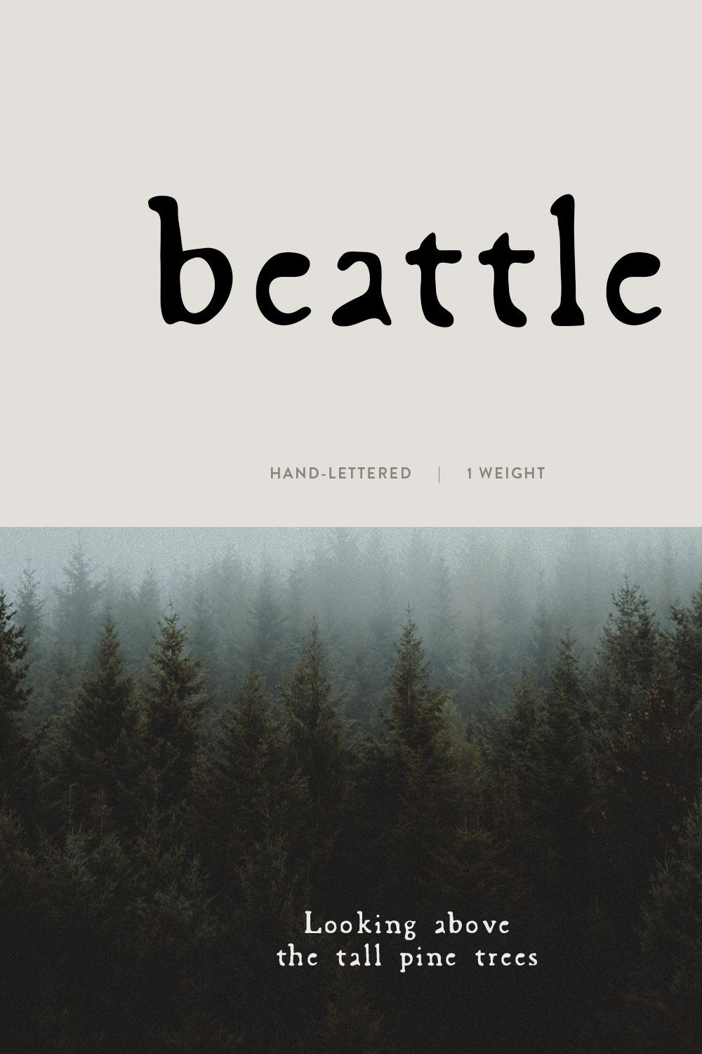 Beattle / hand lettered font pinterest preview image.