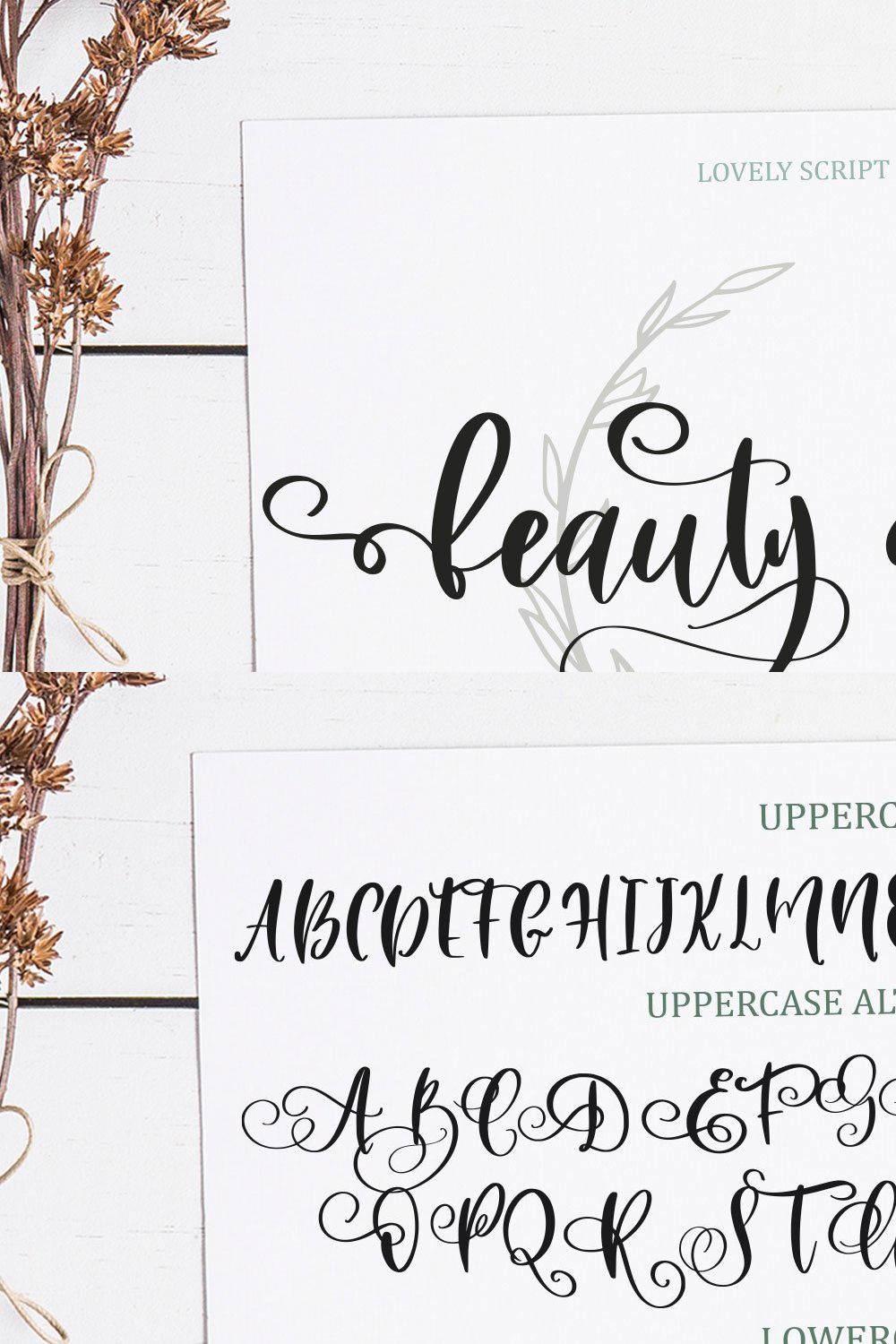 Beauty Youth. Lovely Script pinterest preview image.