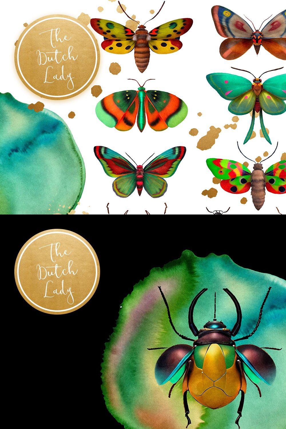 Beetles & Moths Clipart Set pinterest preview image.