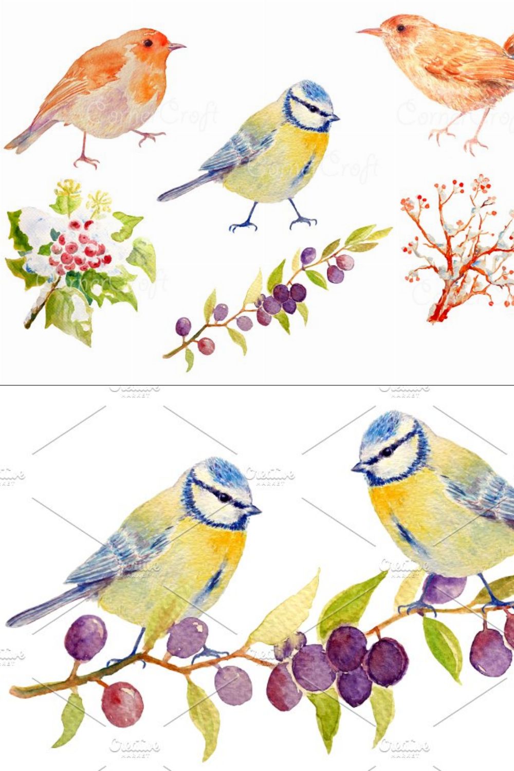 Bird Clipart - Blue Tit, Wren, Robin pinterest preview image.