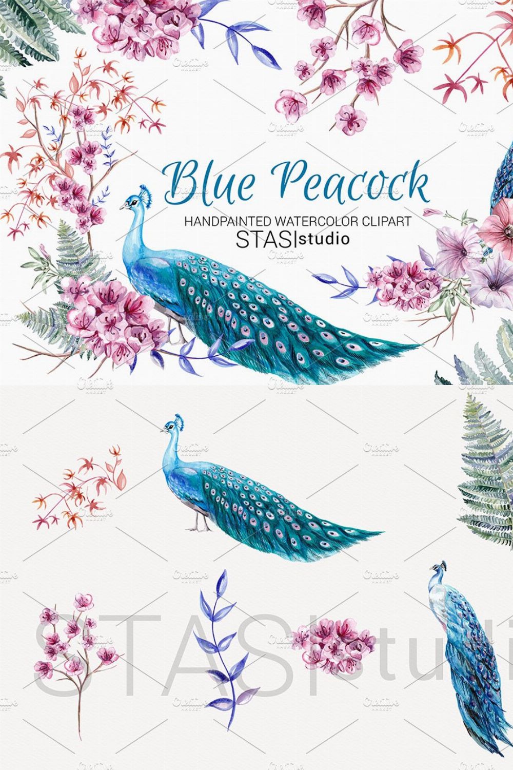 Blue Peacock Watercolor Clipart pinterest preview image.
