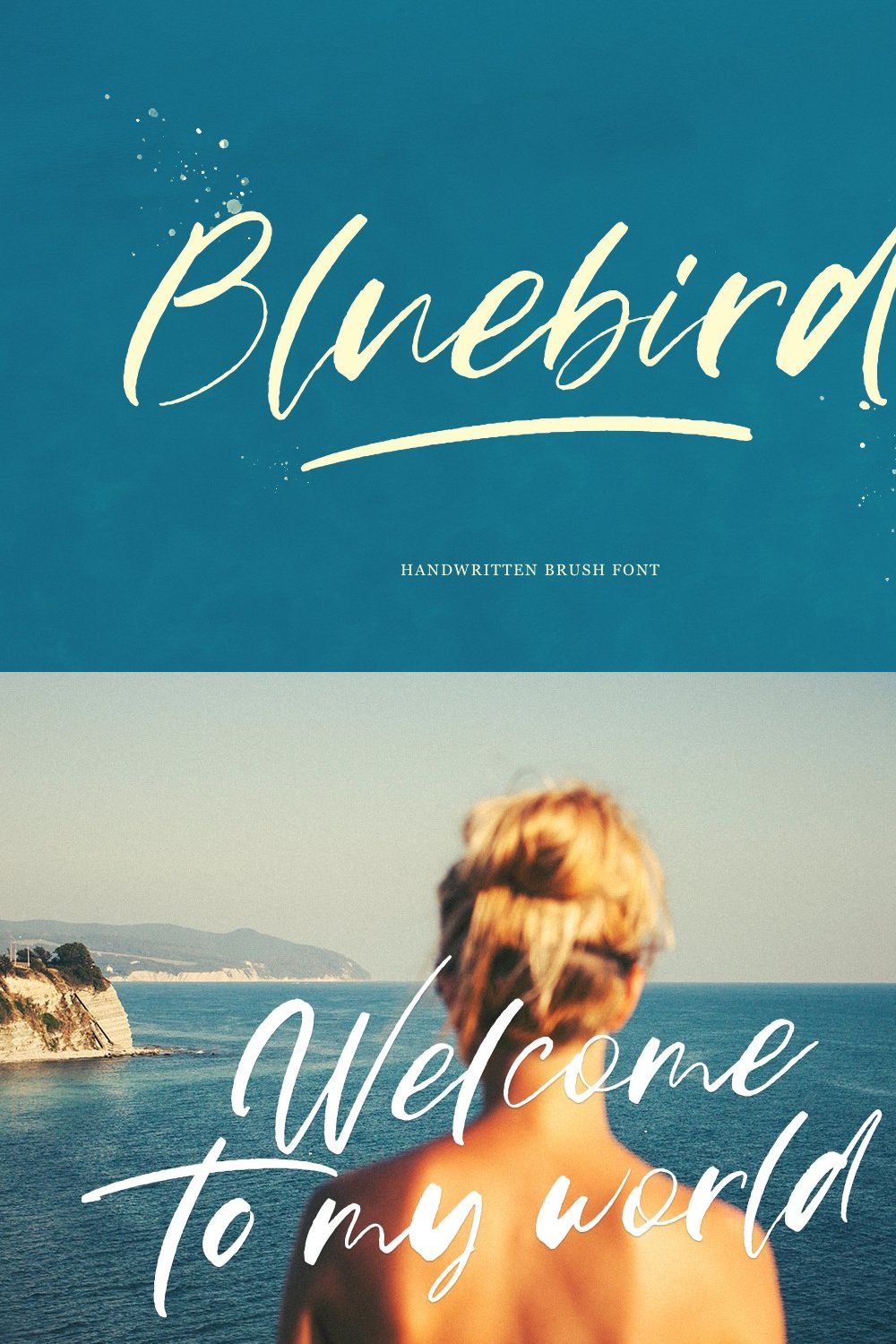 Bluebird pinterest preview image.