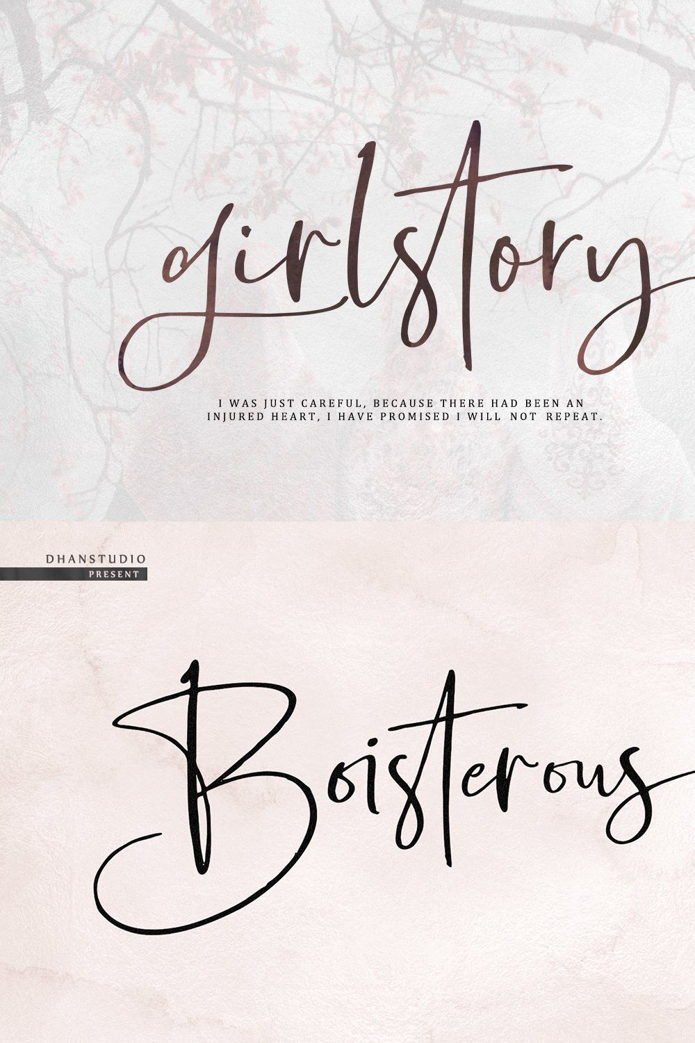 Boisterous Signature Font pinterest preview image.