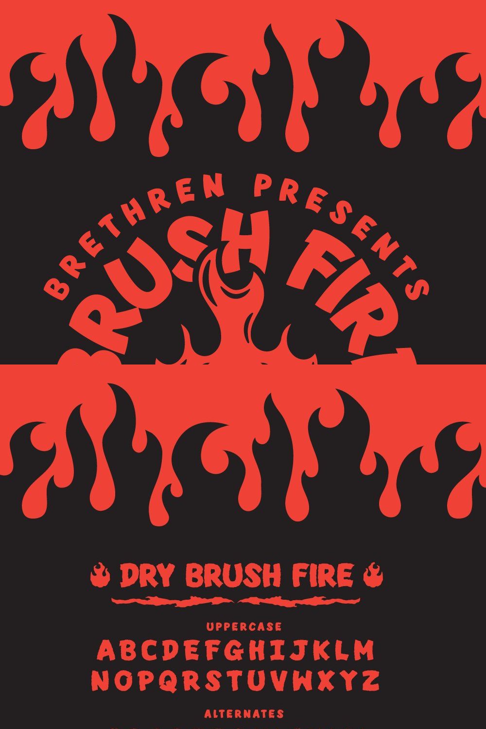 Brush Fire Font Family pinterest preview image.