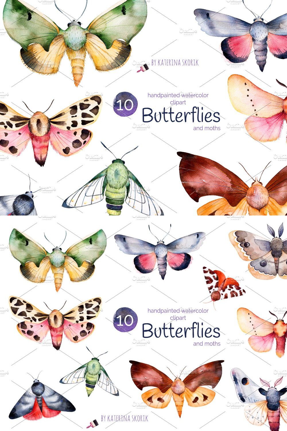Butterflies and moths pinterest preview image.