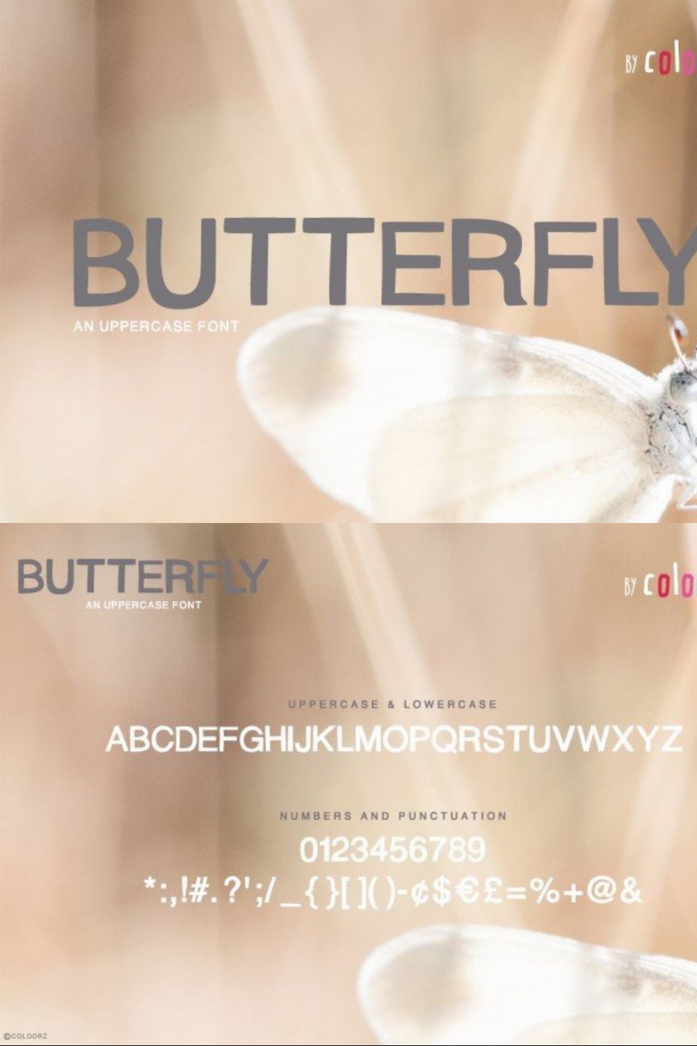 BUTTERFLY Font pinterest preview image.
