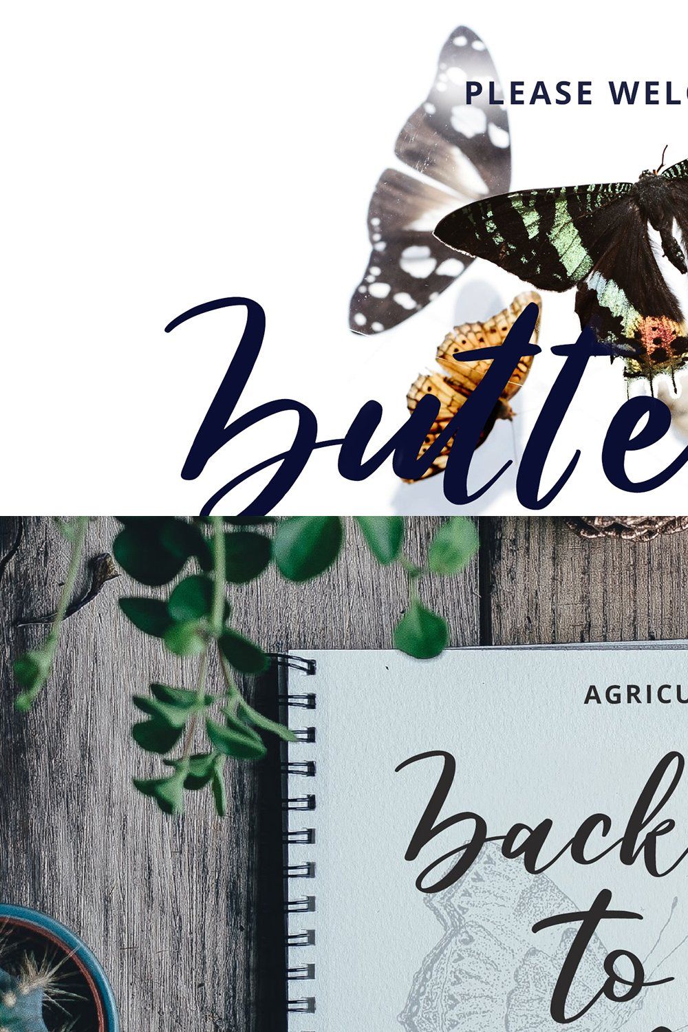 Butterfly Modern Script Font pinterest preview image.