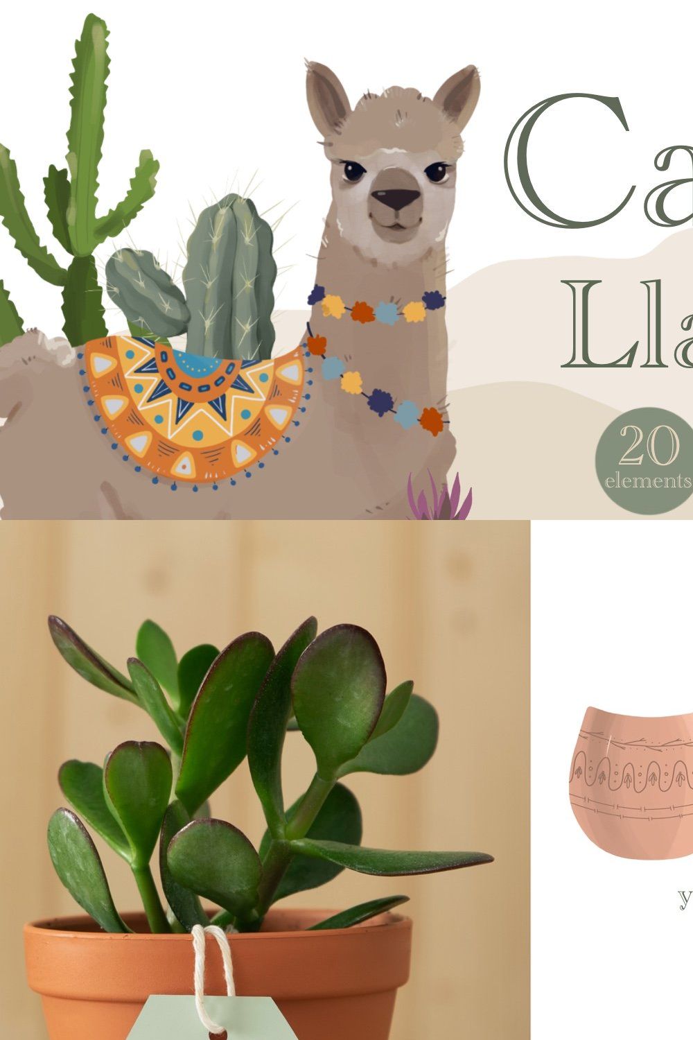 Cacti and LLama Illustration pinterest preview image.