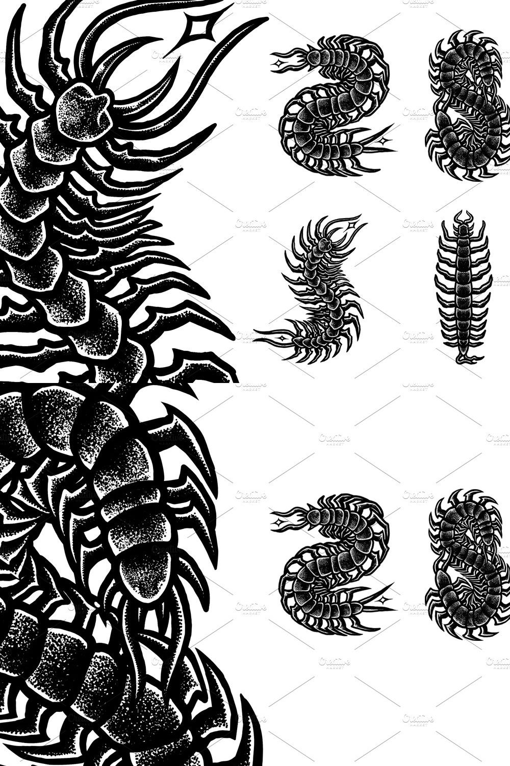 Centipede poisonous | Merch designs pinterest preview image.