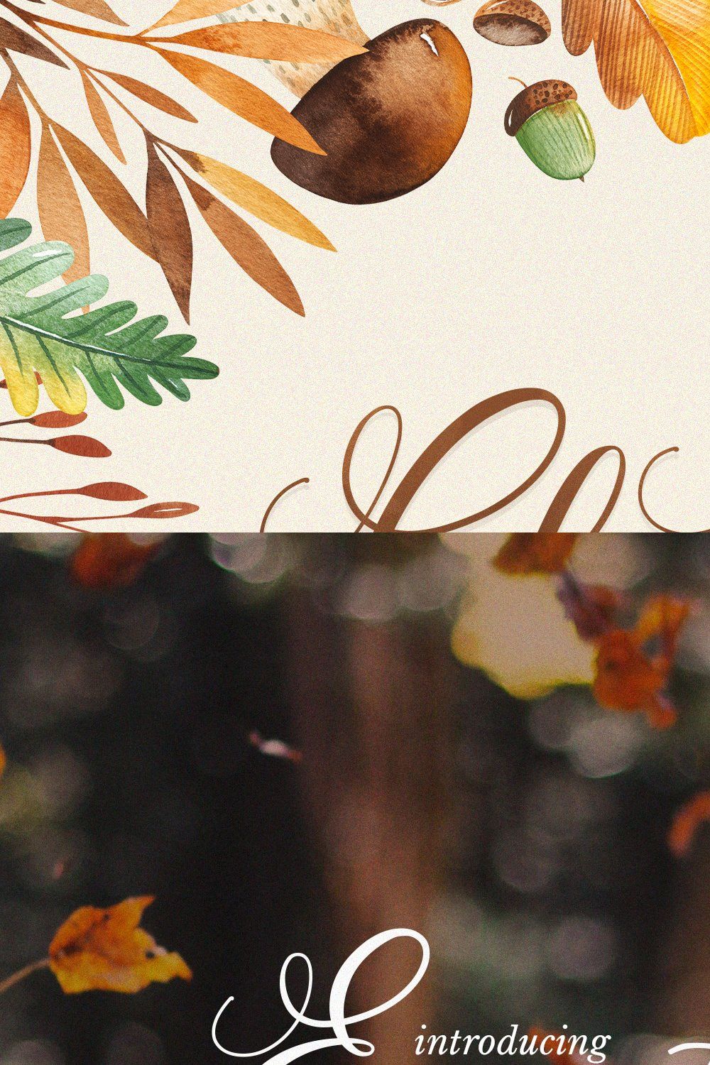 Charlebury Script Font pinterest preview image.