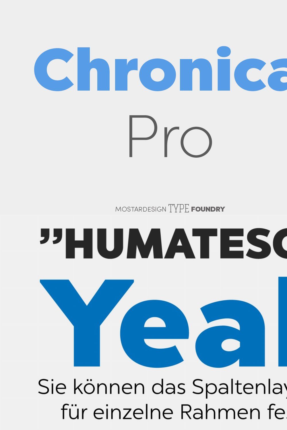 Chronica Pro Family (18 fonts) pinterest preview image.