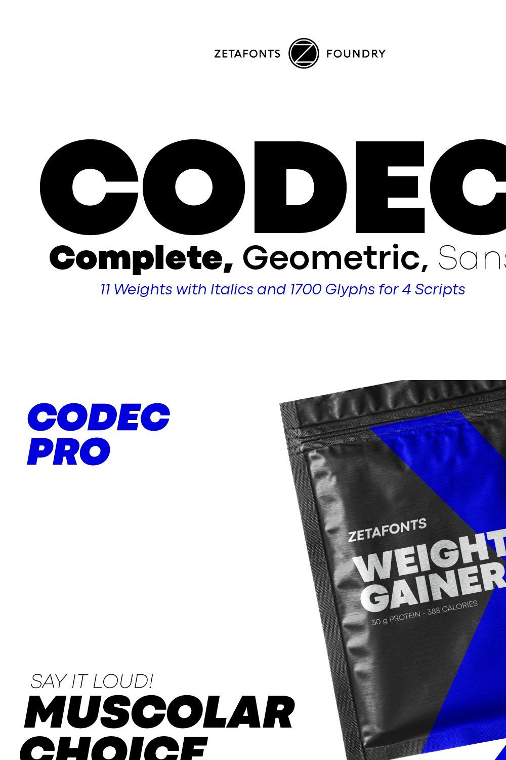 Codec Pro 22 fonts + 1 variable pinterest preview image.