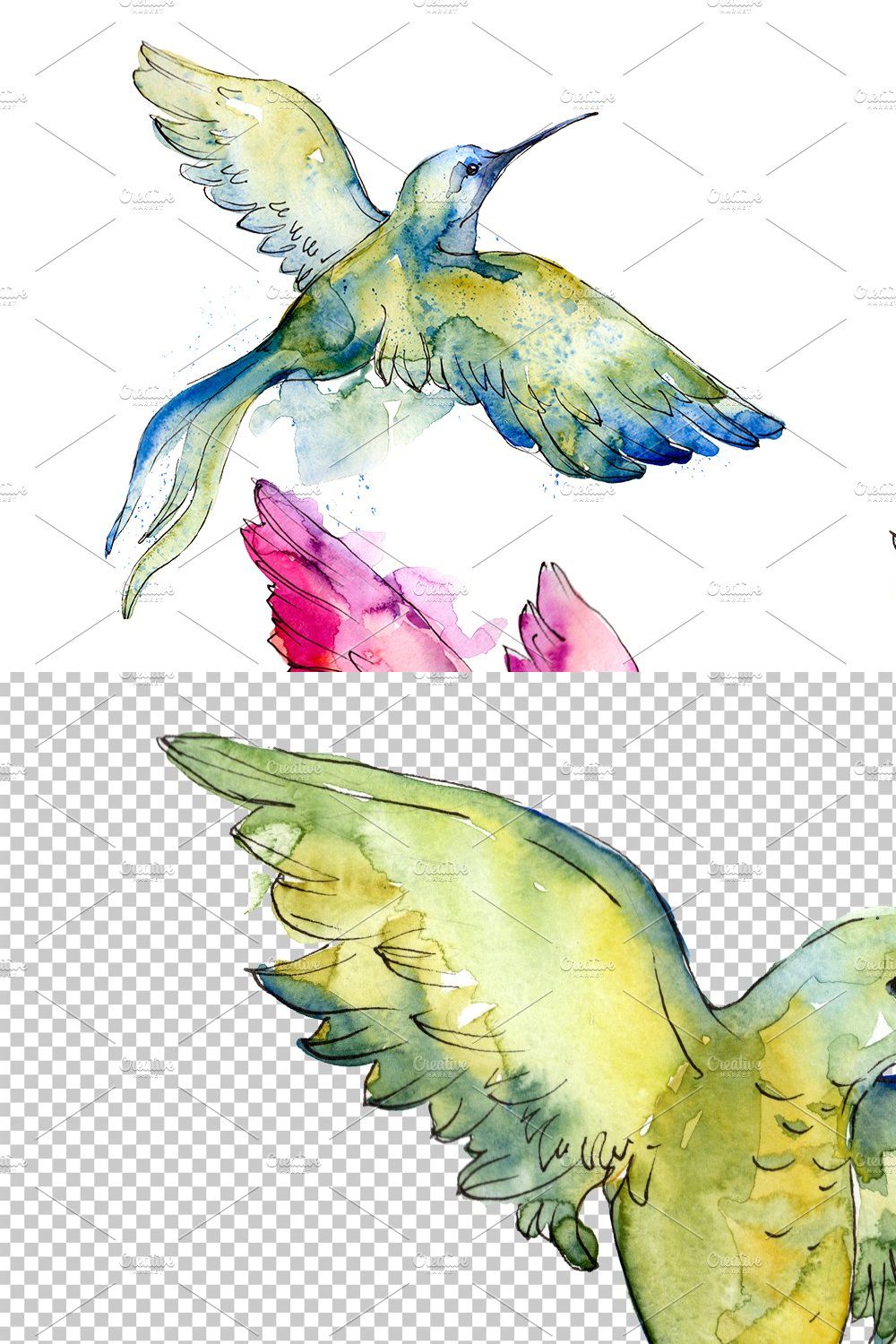 Colibri Small bird Watercolor png pinterest preview image.