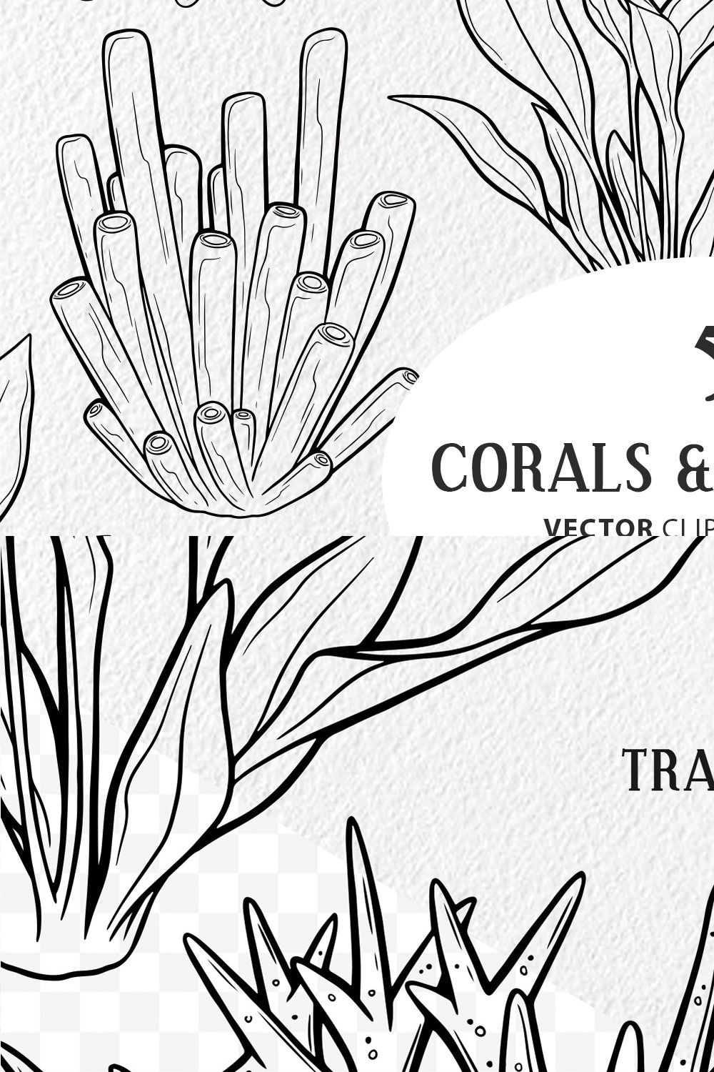 Corals & Seaweed Vector Line Art pinterest preview image.