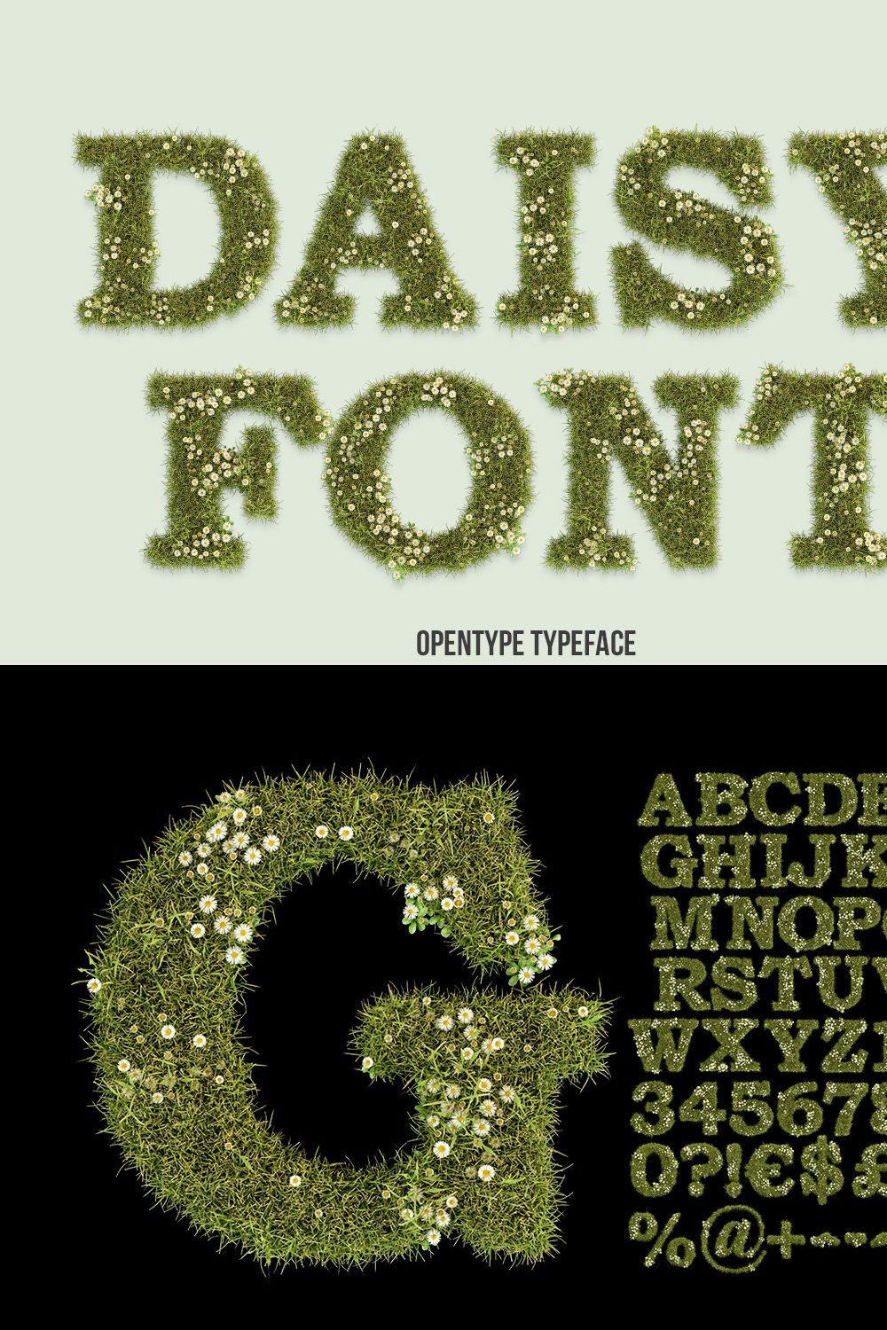 Daisy Font pinterest preview image.