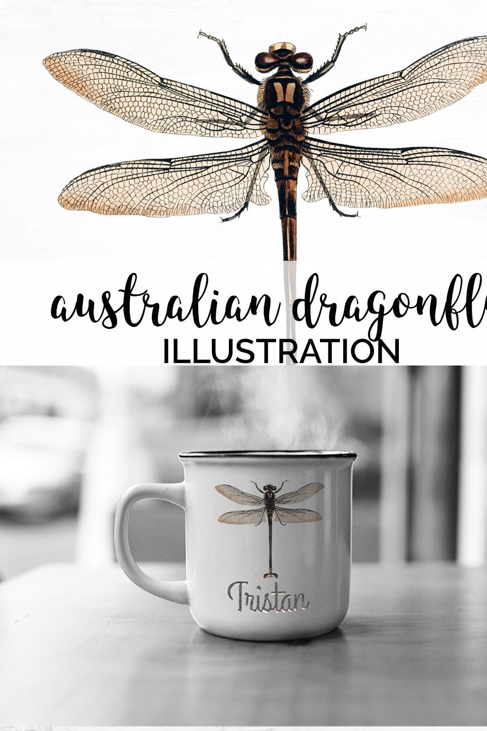 Dragonfly Australian Vintage Insect pinterest preview image.