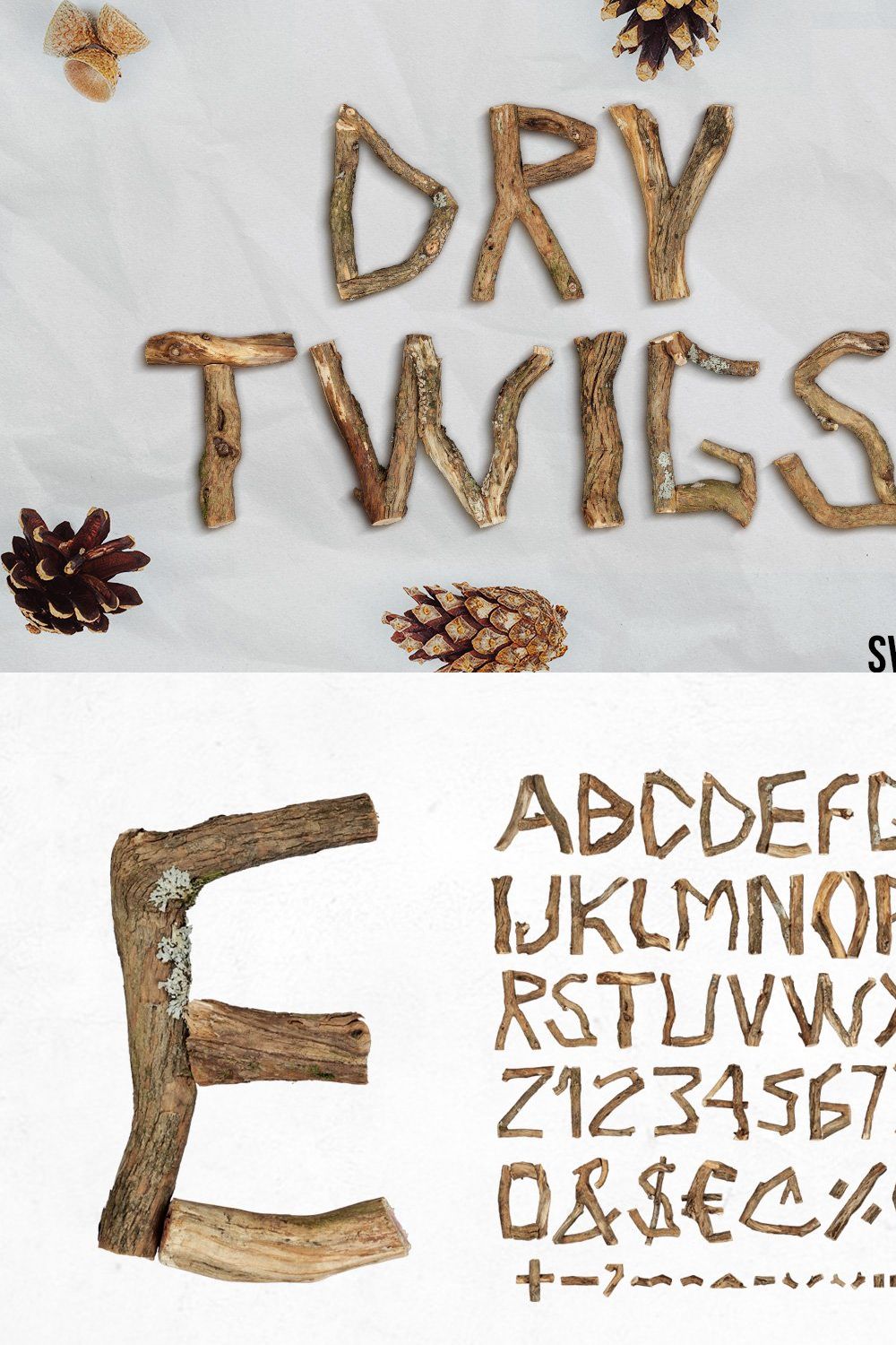Dry Twigs Font pinterest preview image.