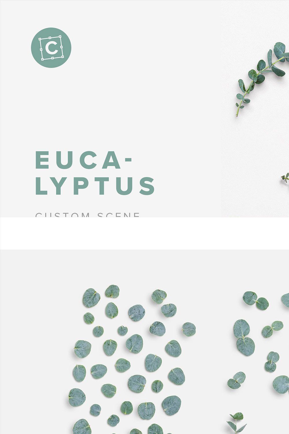 Eucalyptus Custom Scene Creator pinterest preview image.