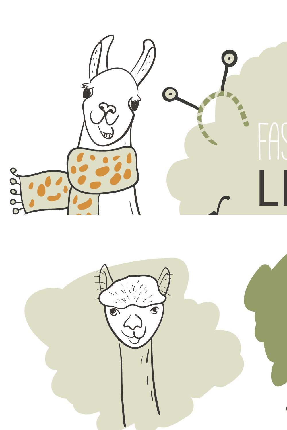 Fashion creator Llamas pinterest preview image.