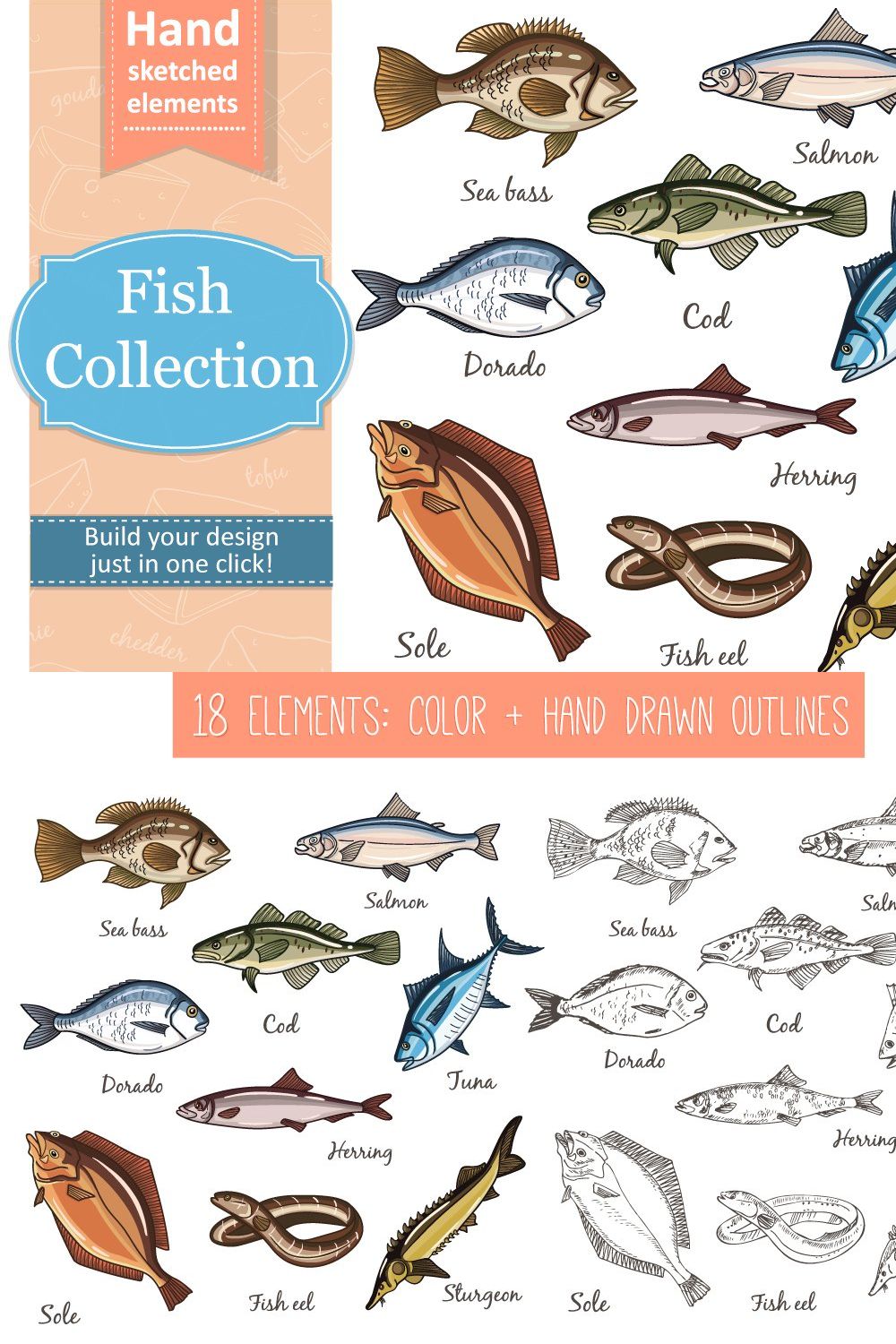 Fish Collection and patterns pinterest preview image.