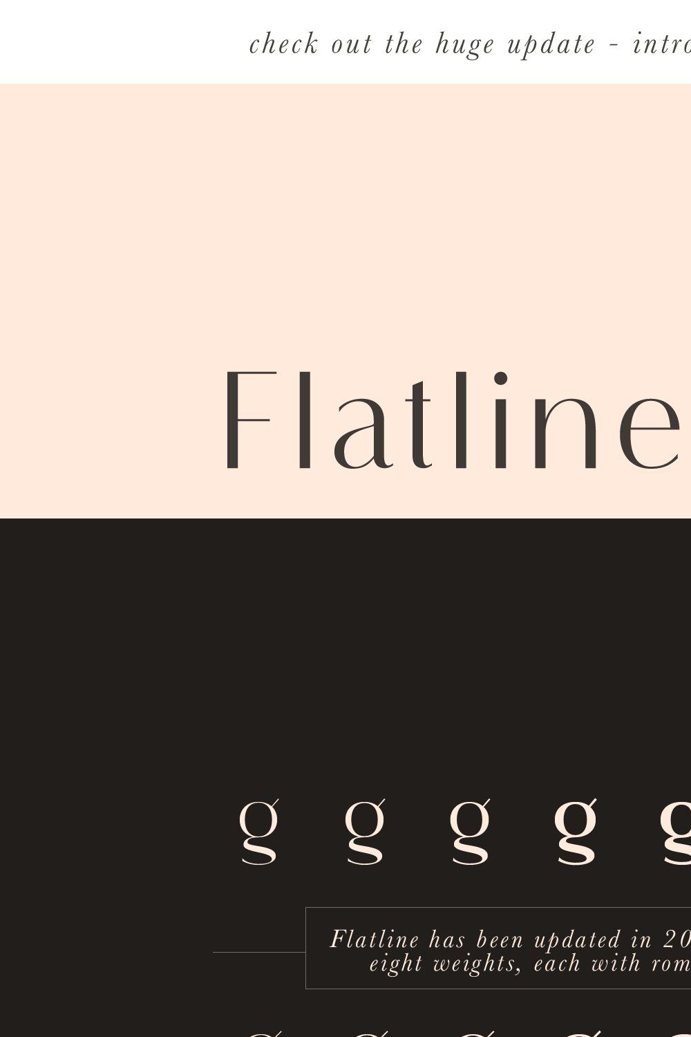 Flatline Sans Complete - 16 fonts pinterest preview image.