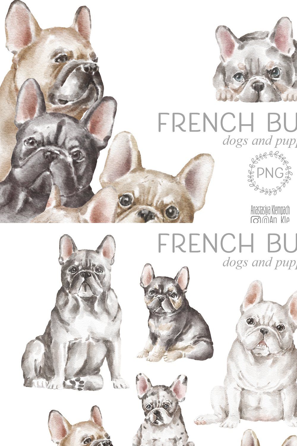 French Bulldog pinterest preview image.