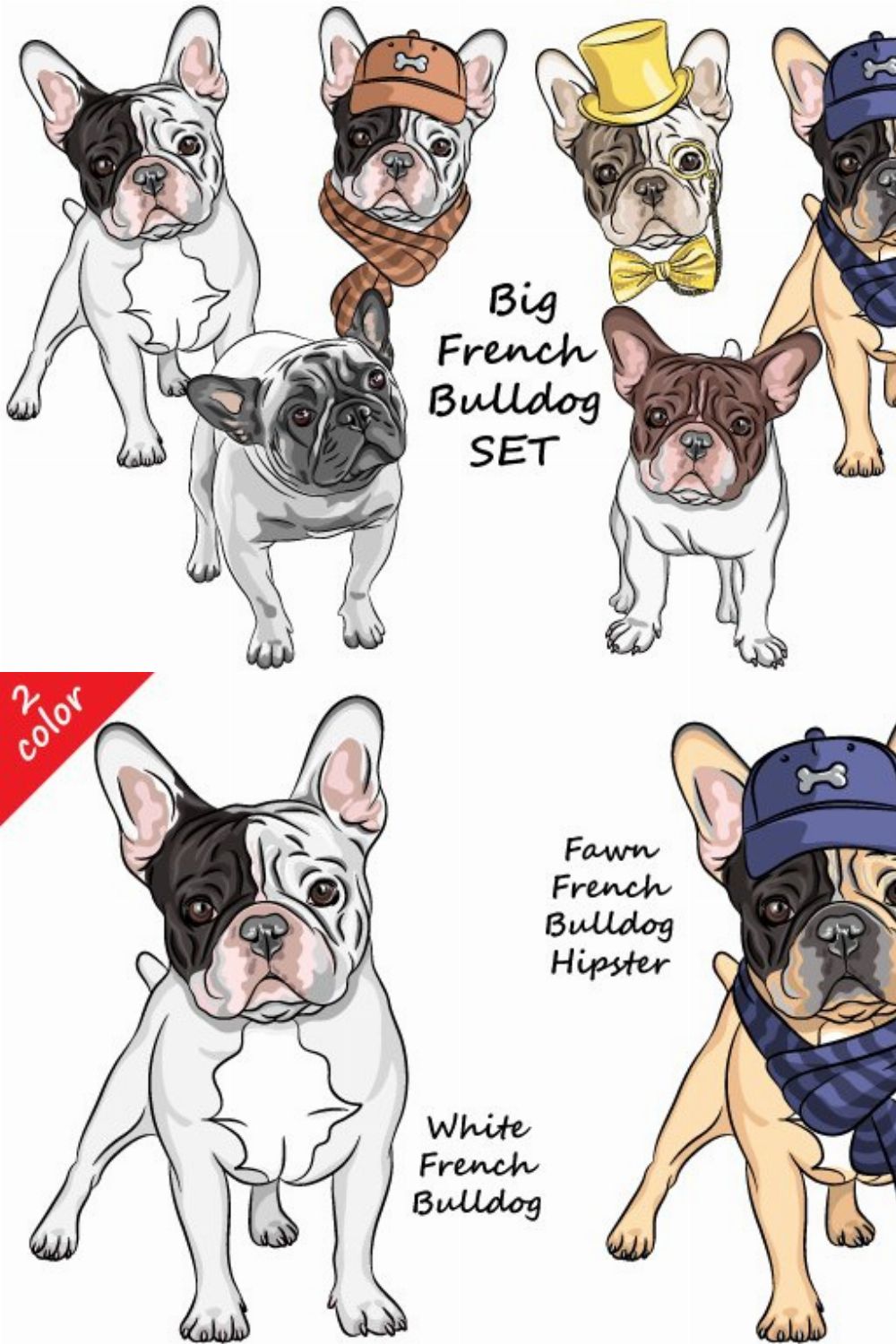 French Bulldog collection pinterest preview image.