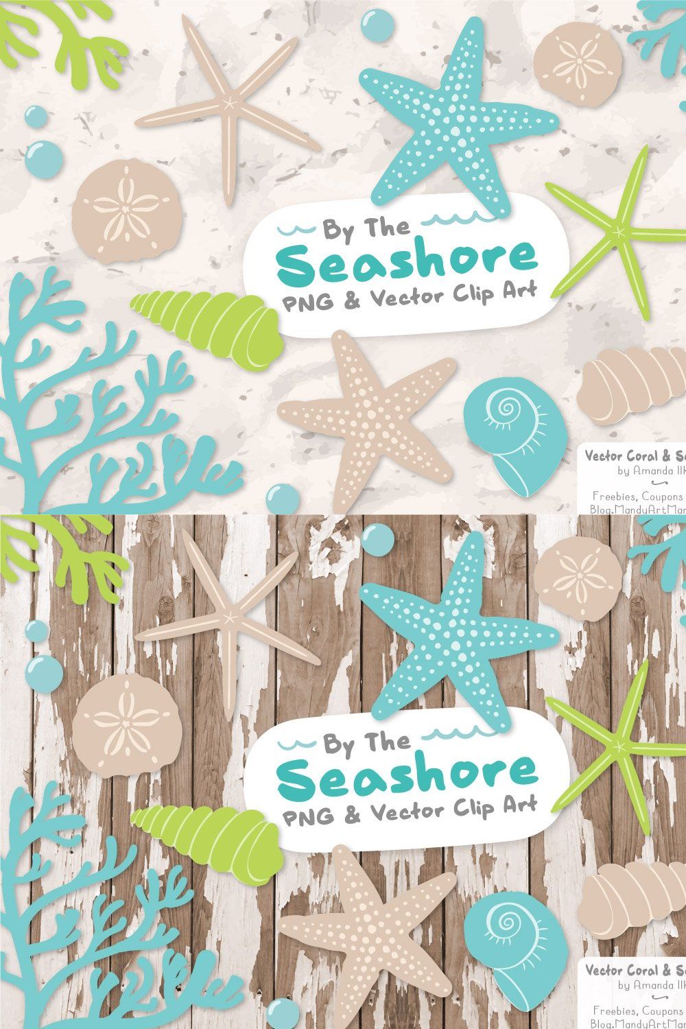 Fresh Vector Seashells pinterest preview image.