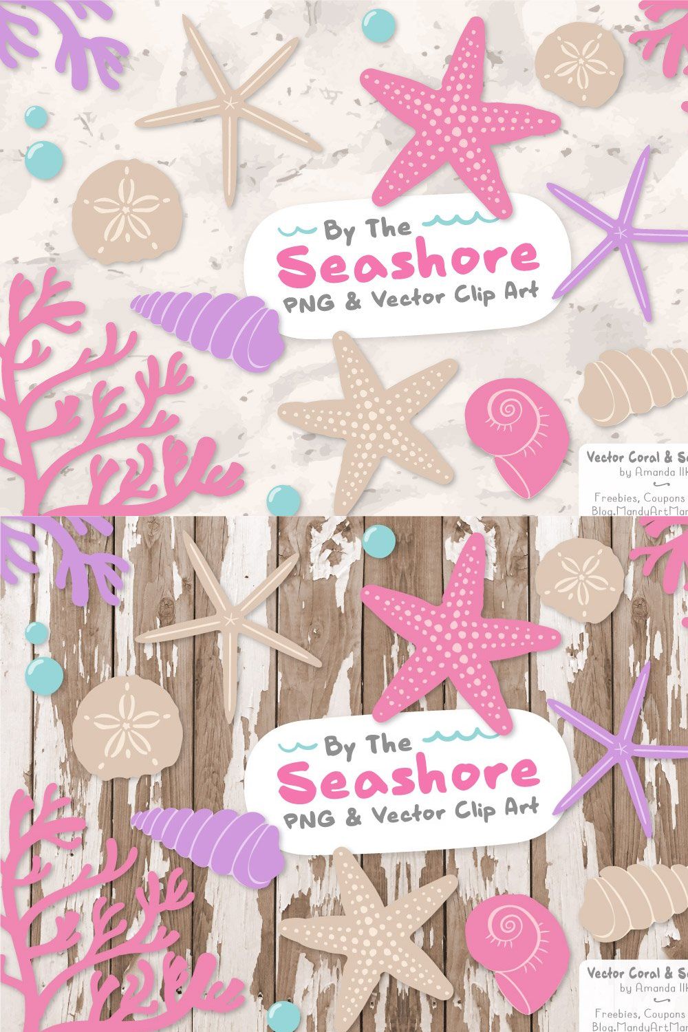 Fresh Vector Seashells pinterest preview image.