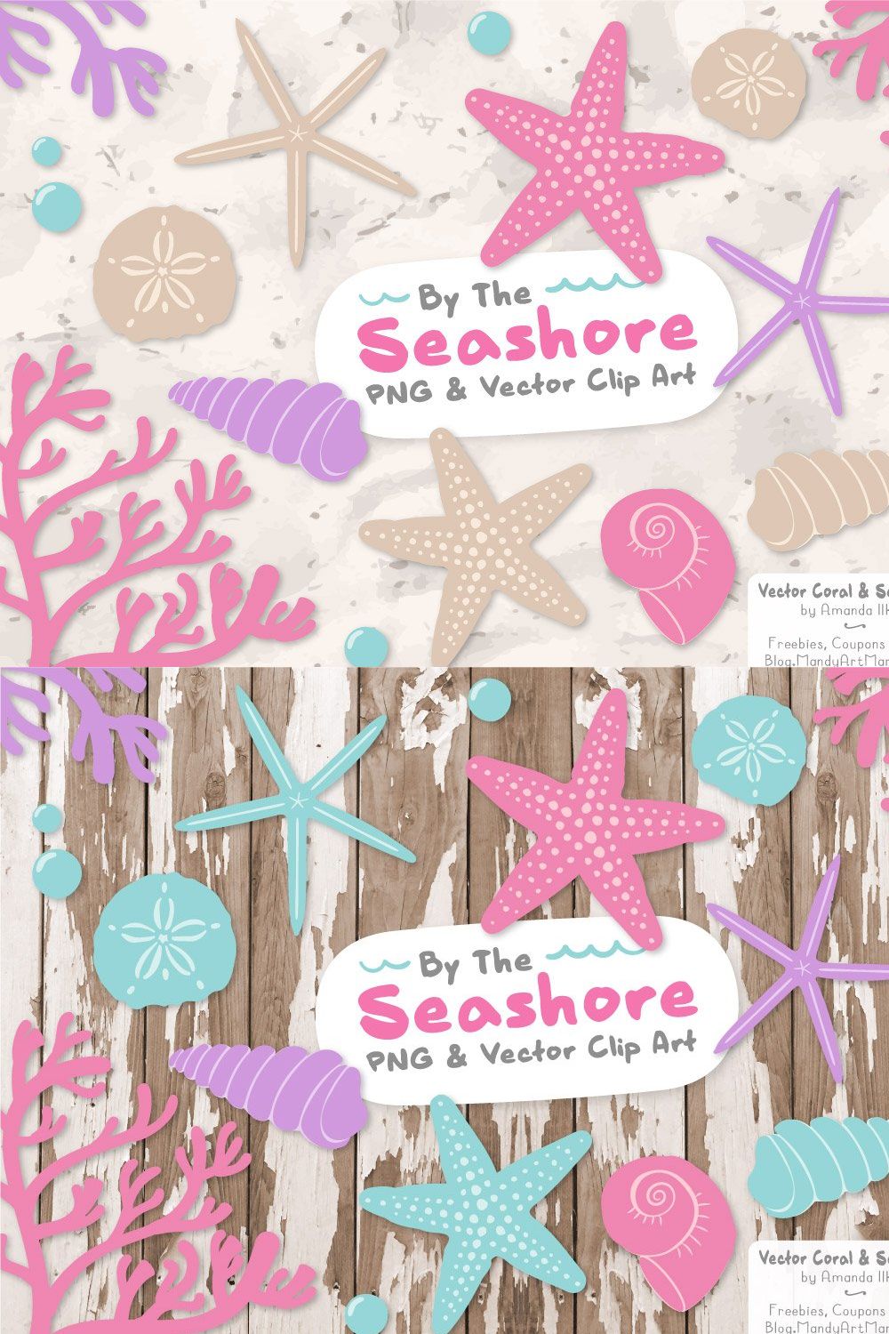 Fresh Vector Seashells pinterest preview image.