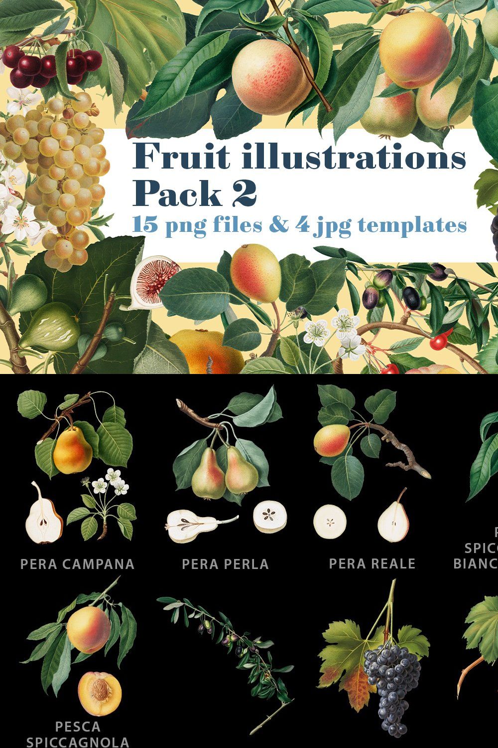 Fruit illustrations pack 2 pinterest preview image.