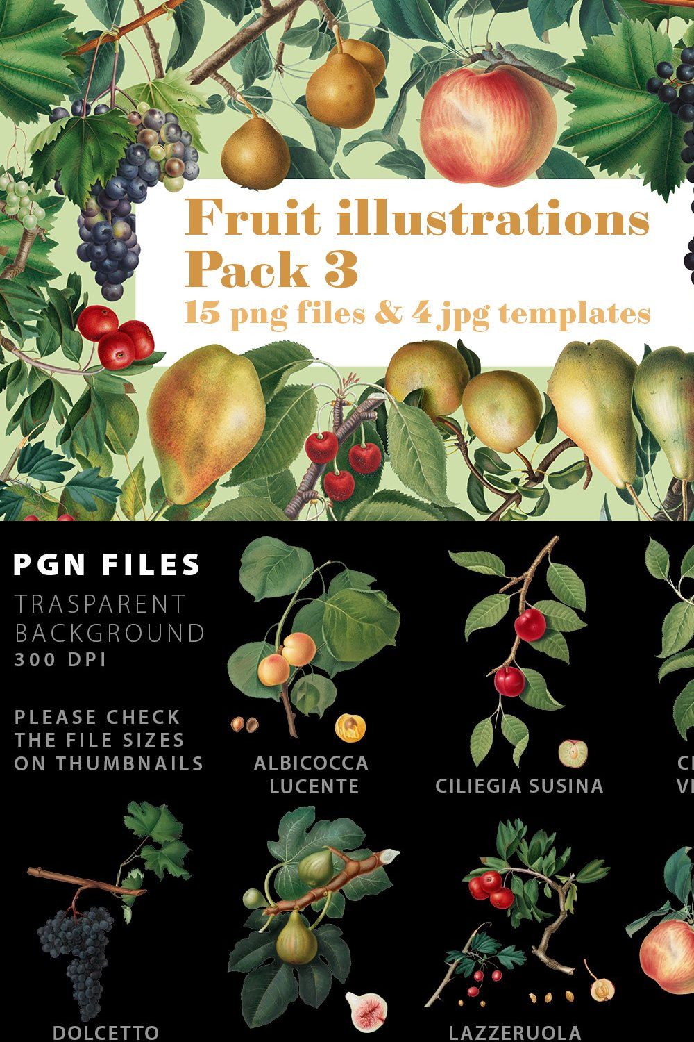Fruit Illustrations pack 3 pinterest preview image.