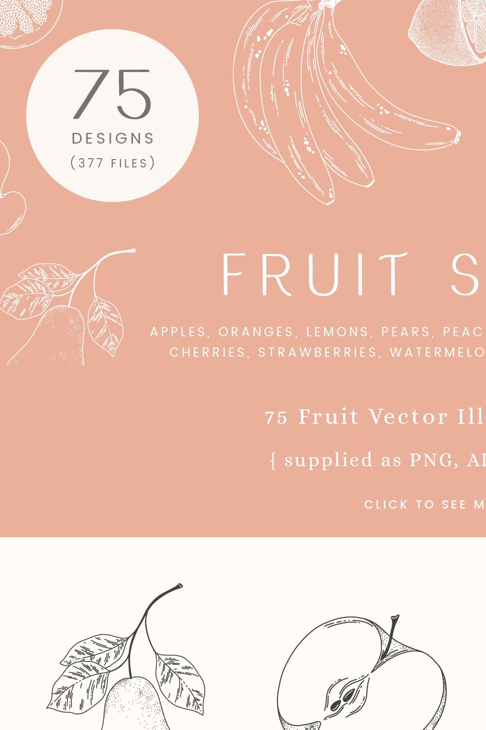 Fruit Salad Vector Illustrations pinterest preview image.